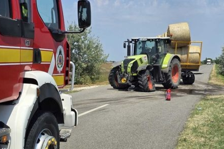 Lehet, hogy lassú, de jóval nagyobb és erősebb, mint te!