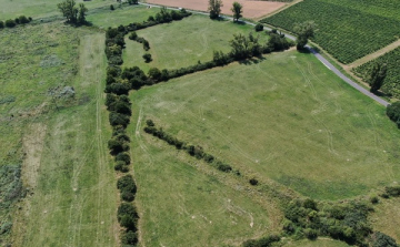 Kaszálások bejelentése a Natura 2000 területeken