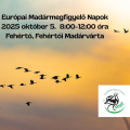 Madármegfigyelés Fehértón a madárvártán