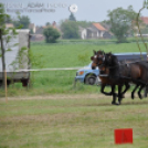 Fogathajtó verseny Bágyogszováton