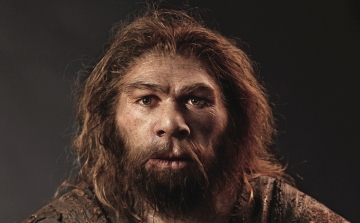 Nem tudtak kabátot készíteni, azért halhattak ki a neandervölgyiek