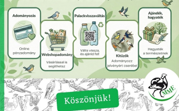 Te is tehetsz a madarakért – akár ma!