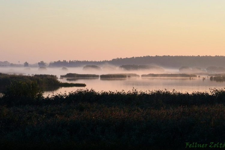 35 év – 35 történet a Fertő–Hanságról 