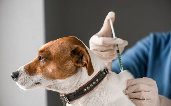 Eboltás Bágyogszováton