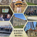Rábaközi Kastély Mustra