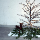 Adventi gyertyagyújtás Szanyban.