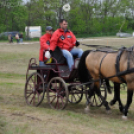 Fogathajtó verseny Bágyogszováton