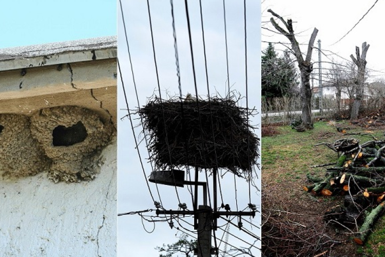 Időben végezzük el a természetvédelmi szempontból érzékeny munkákat!