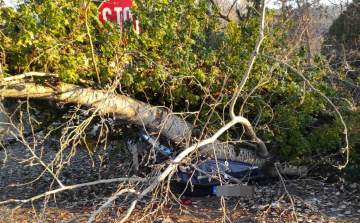 Egy autóra és a 7-es főútra is rádőlt egy fa Fonyódon