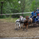 Fogathajtó verseny Bágyogszováton