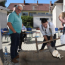 Legényavatás és Mulatság Szanyban