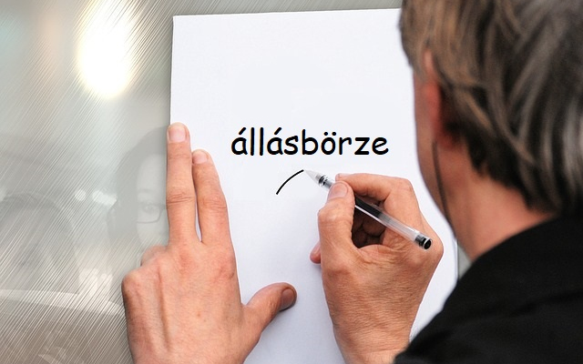 Állásbörze Csornán