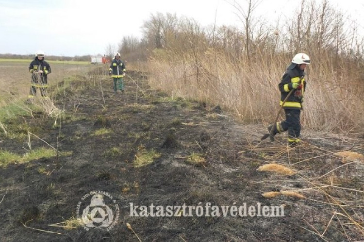 Égett a nádas Lébény külterületén