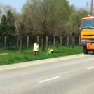 A csornai iskolások is szemetet szedtek a Föld Napján