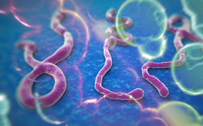 Újabb Ebola fertőzöttet találtak az Egyesült Államokban