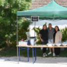 Pünkösdi piknik Rábasebesen. (2026. 05. 23.)