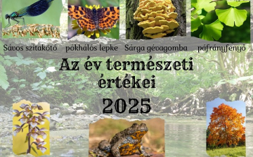 Az év természeti értékei 2025