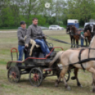 Fogathajtó verseny Bágyogszováton