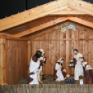 19-ik adventi ablaknyitás Vágon