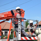 Gólya fesztivál Szanyban. (2024. 06. 15.)