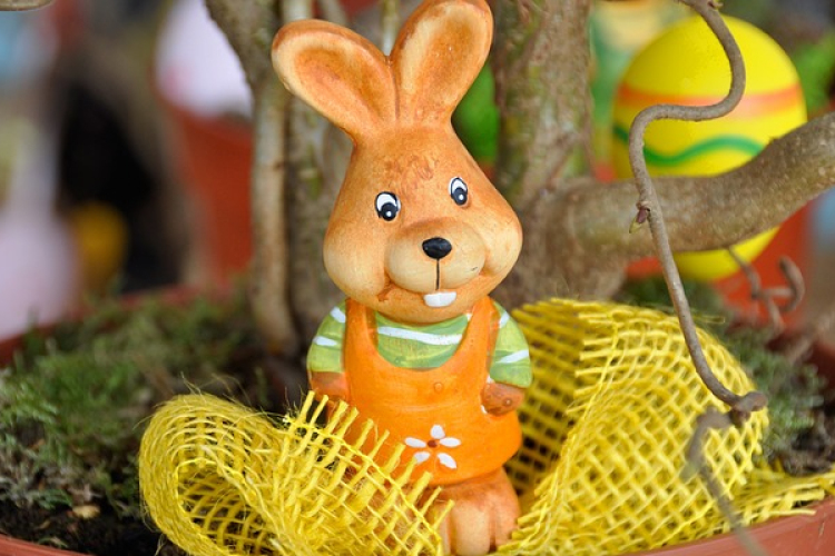 Nyuszifészek csokigyűjtés Csapodon