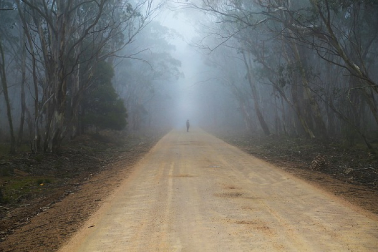 A győri és a csornai járőrök is bajbajutottakon segítettek