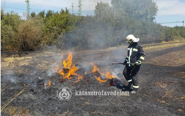 Az idén eddig 190 hektárnyi terület égett le a megyében