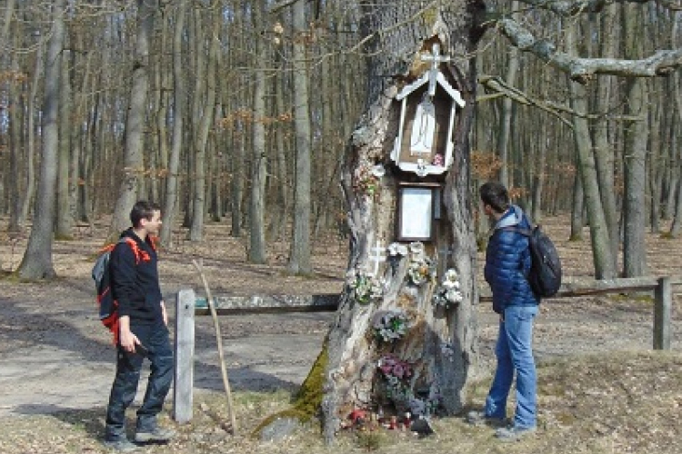 Maderspach Maraton teljesítménytúra