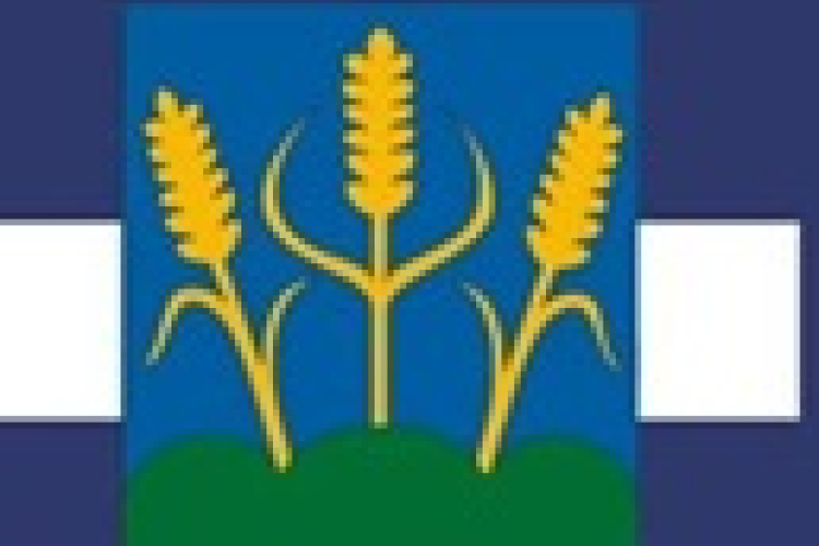 Falugyűlés Babóton