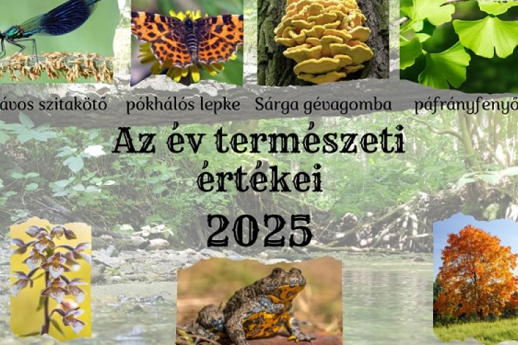 Az év természeti értékei 2025