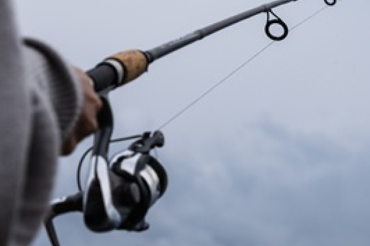 Családi zsebpeca délután