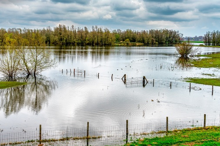 Tilos a csapadékvizet a szennyvízelvezető rendszerbe szivattyúzni