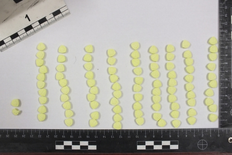 92 tabletta, fehér por és szárított növény egy 17 éves fiú hátizsákjában