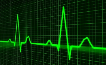 A szívverés energiájával működő pacemakert ültettek sertésekbe