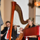 „Házhoz megy a kultúra elnevezésű” program Szanyban.