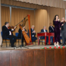 „Házhoz megy a kultúra elnevezésű” program Szanyban.