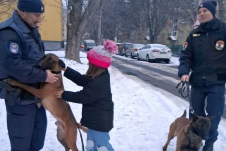 A hidegben fokozott felelősséggel tartozunk állatainkért