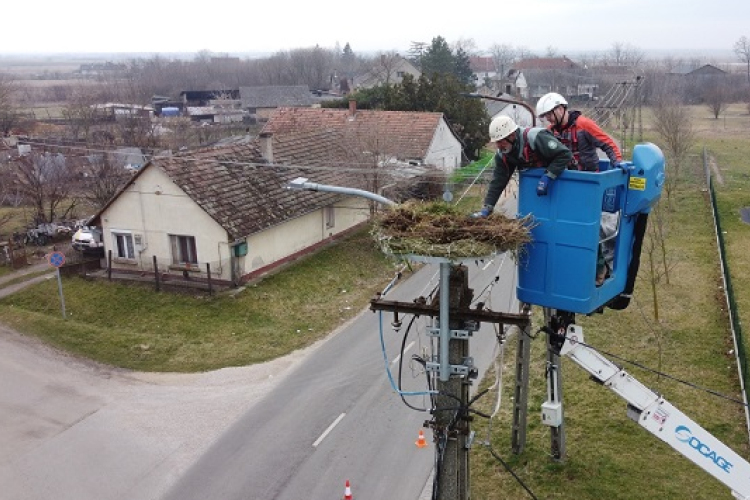 Szanyba érkezett meg a megye első gólyája