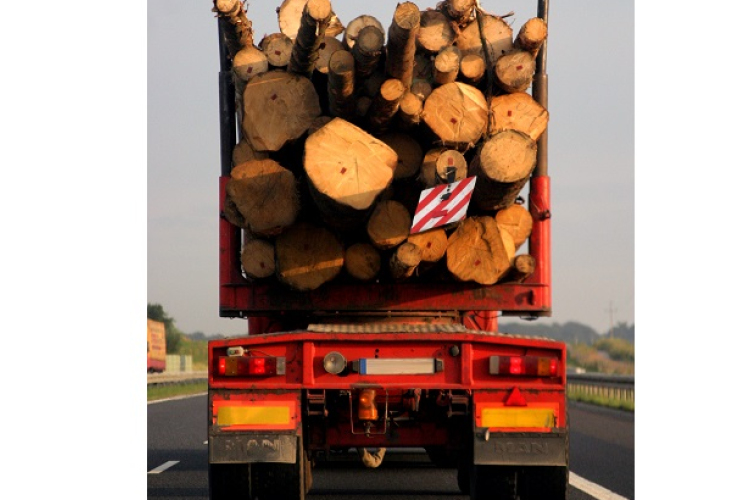 Újabb halálos baleset Csornán a 86-os főút bevezető szakaszán