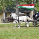 Árpási Fogathajtó Verseny