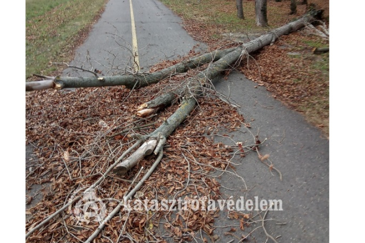 A viharos szél miatt több tűzoltói beavatkozásra is szükség volt