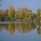 Szanyi ősz