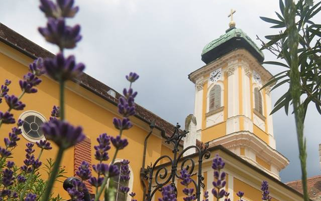 Ismét Levendula Napot szervez az Aranyfonal Rábaközi Kézműves Egyesület