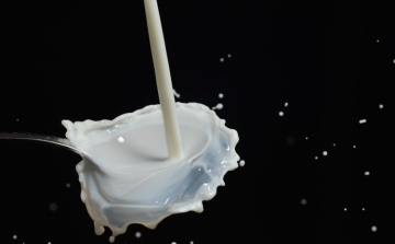 Vitathatatlan a tejtermékek szerepe az egészséges táplálkozásban