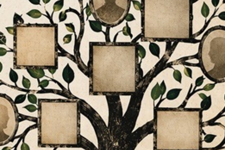 Ismerd meg a gyökereidet