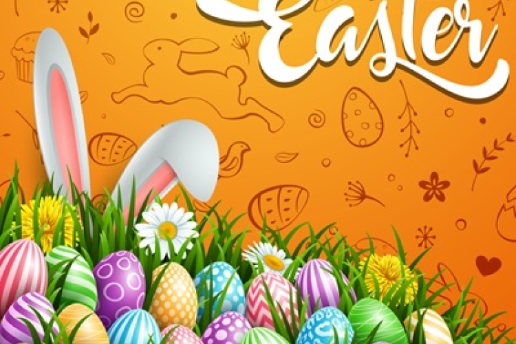 Húsvéti fészek keresés Győrsövényházán