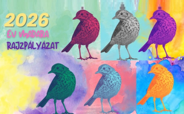 Év madara rajzpályázat