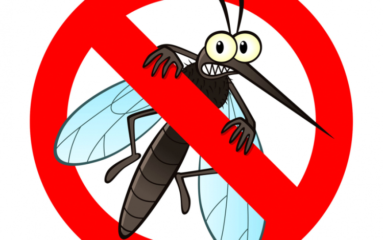 A héten csaknem tízezer hektáron gyérítik a szúnyogokat