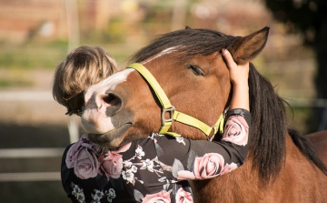 Nyári lovastábor Göbös-majorban