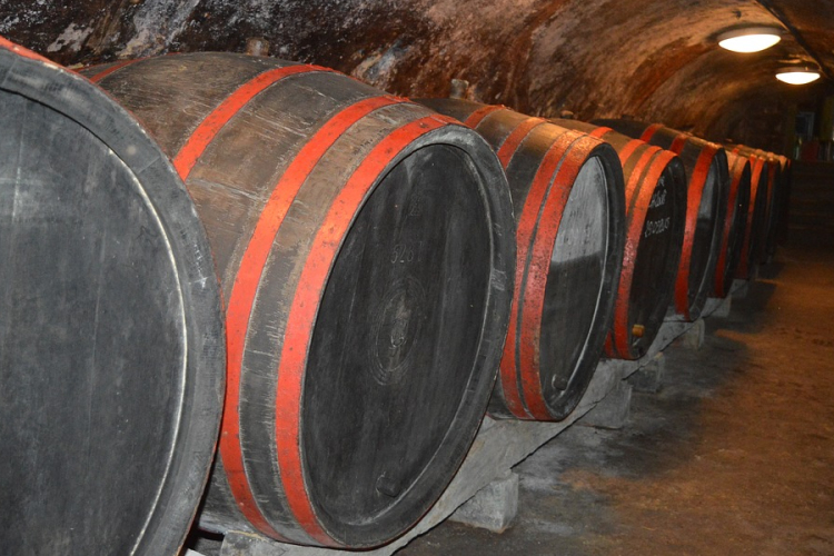 Ősz, szüret, mustgáz